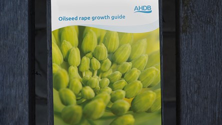 Front cover of the oilseed rape growth guide